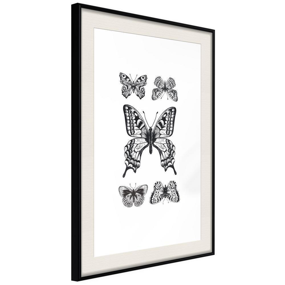 Black and White Framed Poster - Butterfly Collection IV-artwork for wall with acrylic glass protection