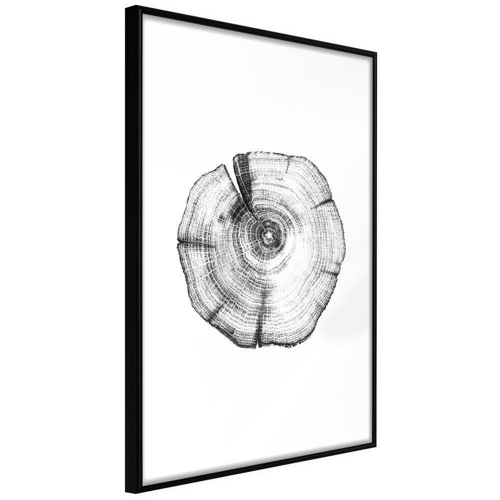 Botanical Wall Art - Tree Rings-artwork for wall with acrylic glass protection