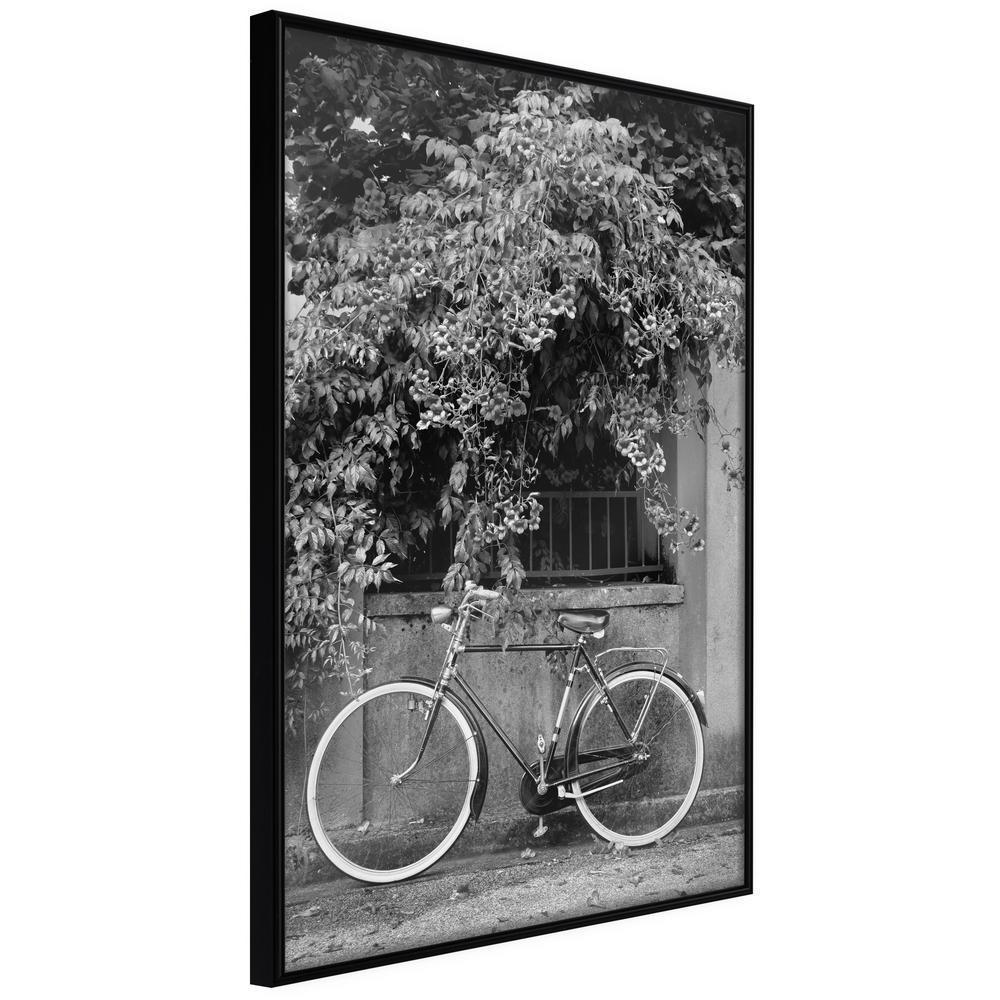 Black and White Framed Poster - Bicycle with White Tires-artwork for wall with acrylic glass protection