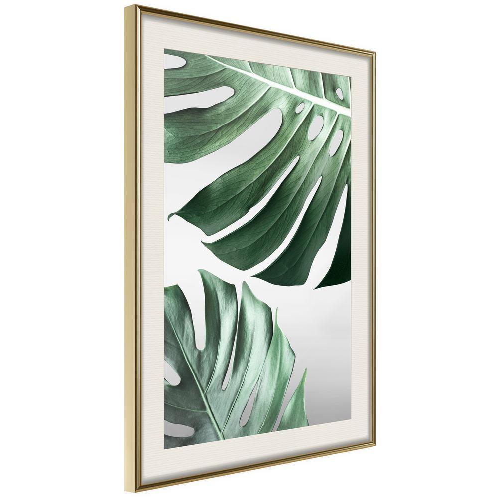 Botanical Wall Art - Leaves Like Swiss Cheese-artwork for wall with acrylic glass protection