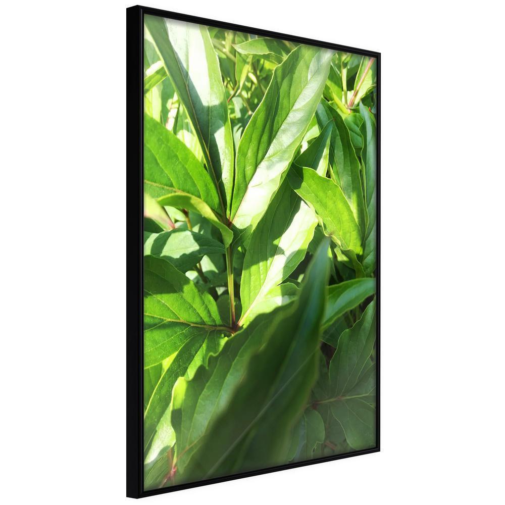 Botanical Wall Art - Somewhere in the Garden-artwork for wall with acrylic glass protection