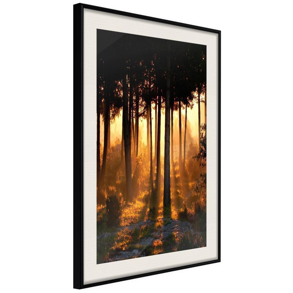 Autumn Framed Poster - Dark Tree Tops-artwork for wall with acrylic glass protection