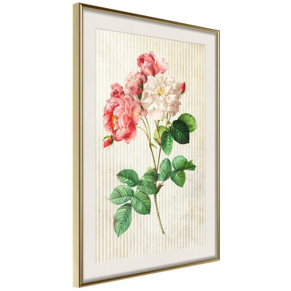 Botanical Wall Art - Romance II-artwork for wall with acrylic glass protection