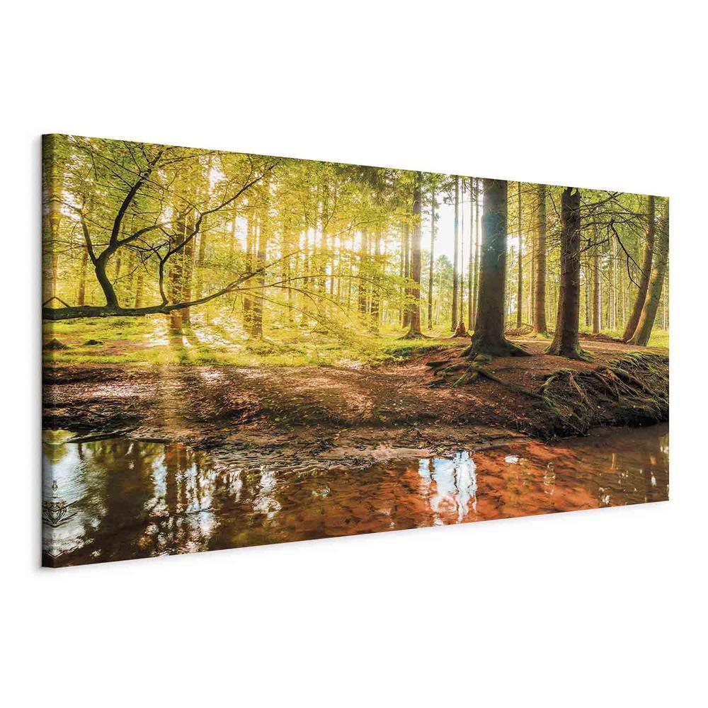 Canvas Print - Autumnal Reverie