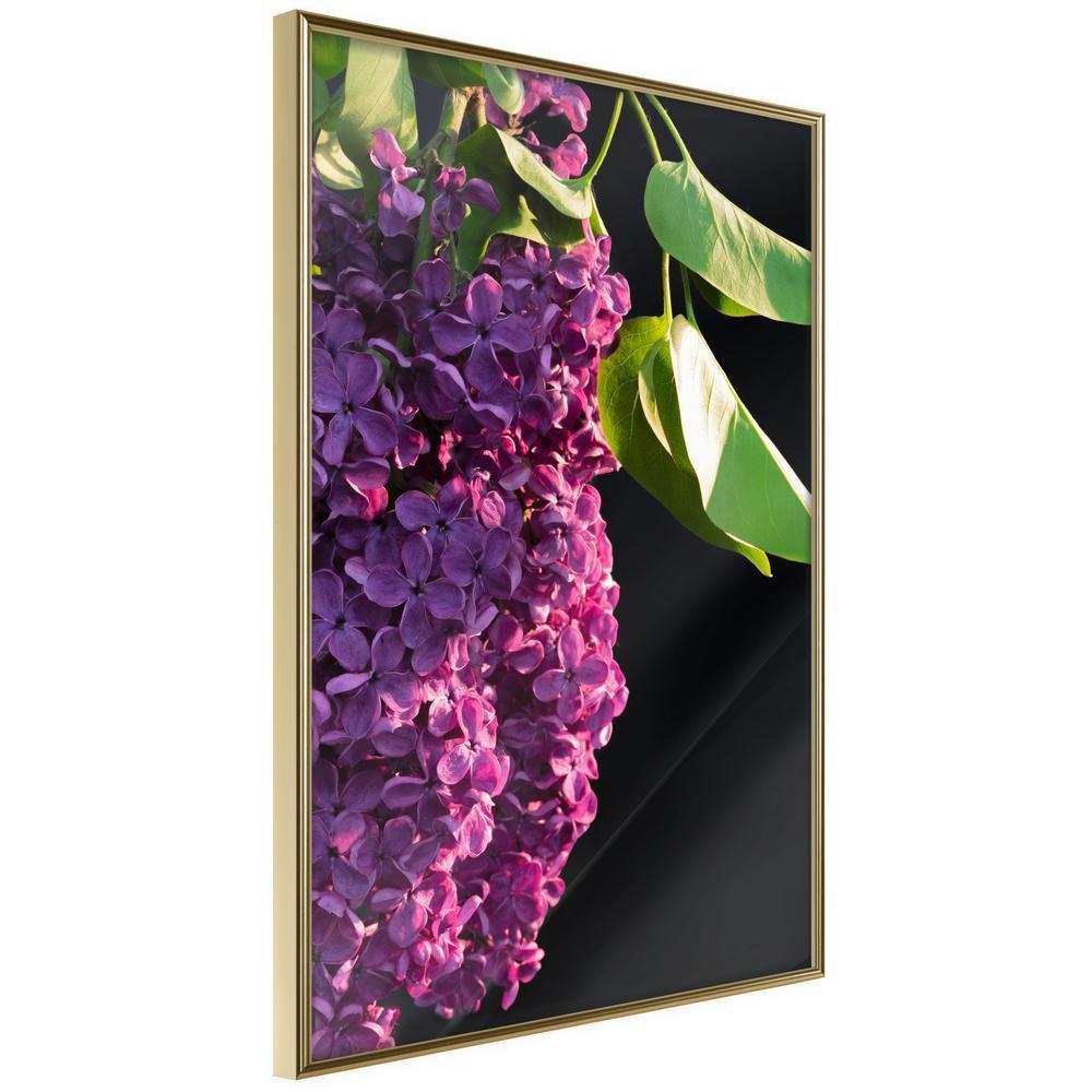 Botanical Wall Art - Violet May-artwork for wall with acrylic glass protection