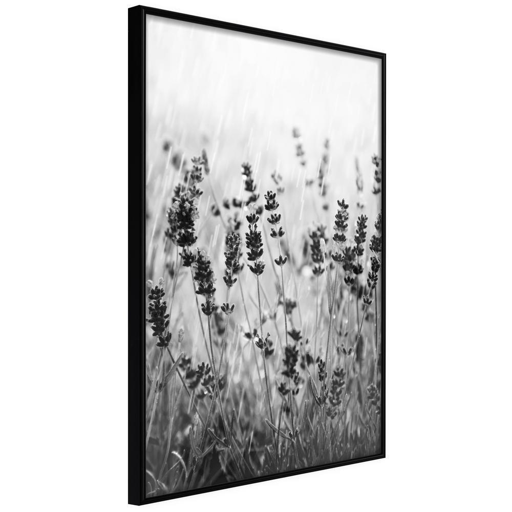Botanical Wall Art - Shadow of Meadow-artwork for wall with acrylic glass protection