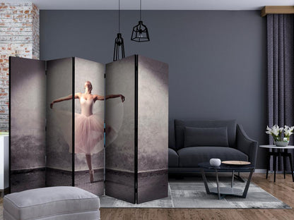 Room Divider - Classical dance - poetry without words II- A 5 Panel Folding Screen For Living rooms, bedrooms or home office, decorative folding screen made with wood and canvas