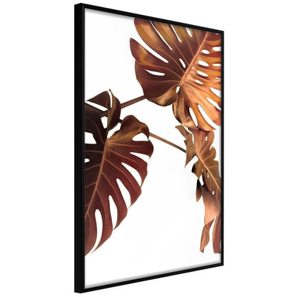 Botanical Wall Art - Copper Monstera-artwork for wall with acrylic glass protection