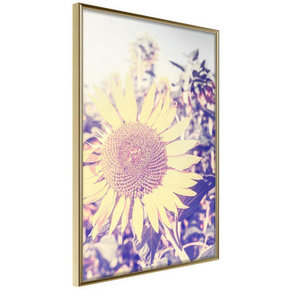 Botanical Wall Art - Facing the Sun-artwork for wall with acrylic glass protection