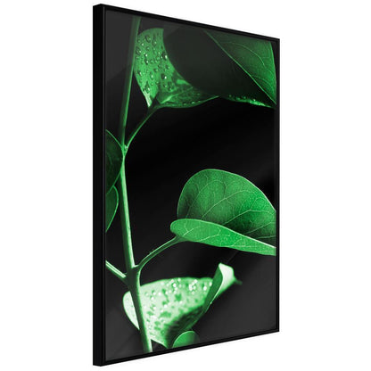 Botanical Wall Art - Calm After the Storm-artwork for wall with acrylic glass protection