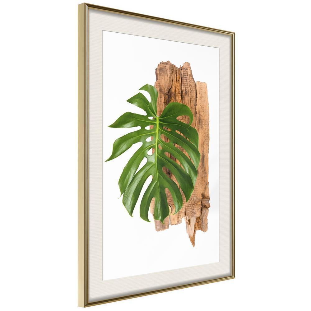 Botanical Wall Art - Leafy Etude-artwork for wall with acrylic glass protection