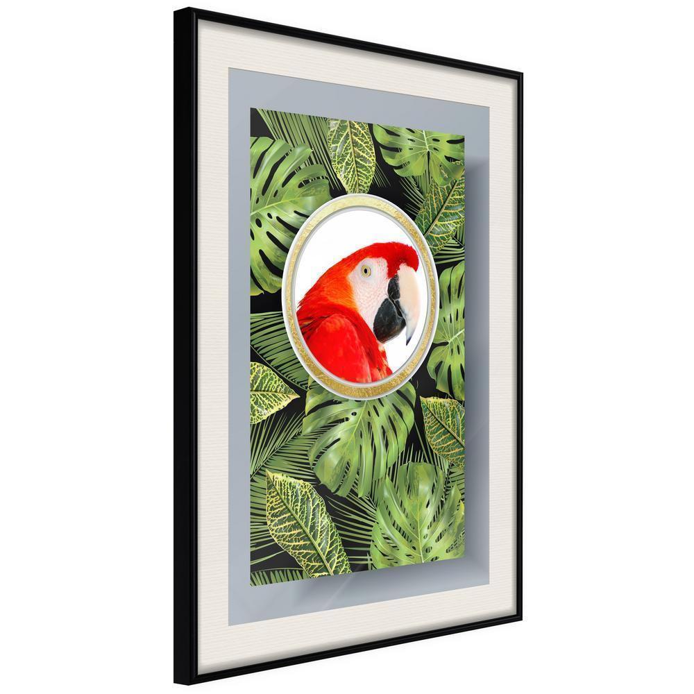 Botanical Wall Art - Parrot Says Hi-artwork for wall with acrylic glass protection