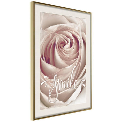 Botanical Wall Art - Rose with a Message-artwork for wall with acrylic glass protection