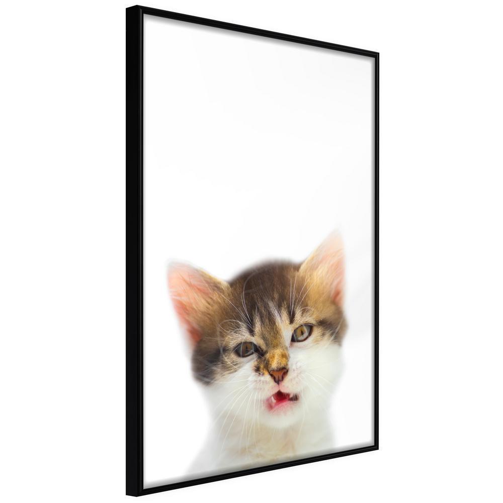 Nursery Room Wall Frame - Funny Kitten-artwork for wall with acrylic glass protection