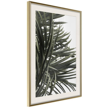 Botanical Wall Art - Little Tropics-artwork for wall with acrylic glass protection