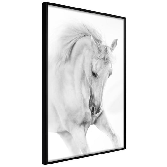 Frame Wall Art - Beauty in Motion-artwork for wall with acrylic glass protection