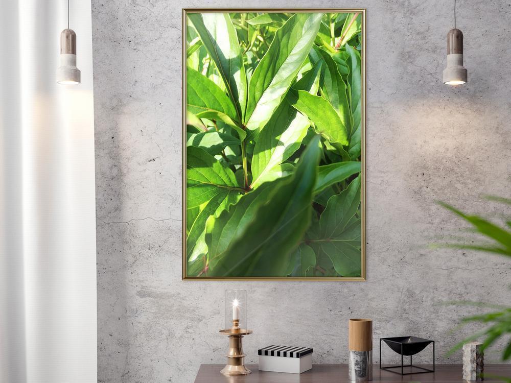 Botanical Wall Art - Somewhere in the Garden-artwork for wall with acrylic glass protection