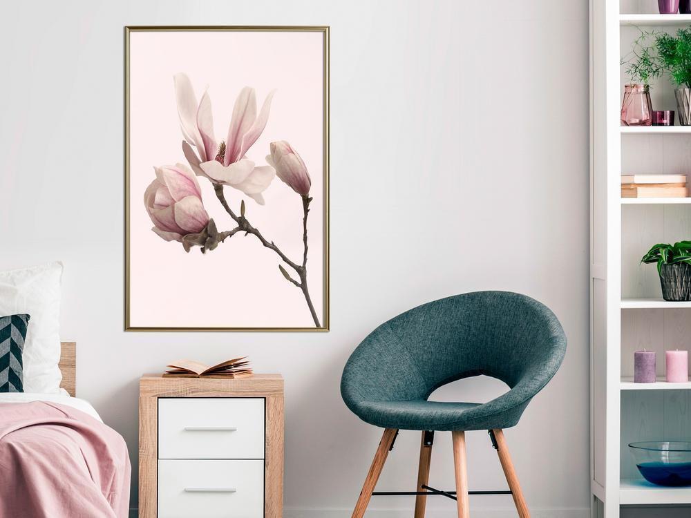 Botanical Wall Art - Blooming Magnolias II-artwork for wall with acrylic glass protection