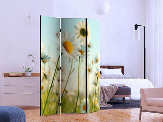 Decorative partition-Room Divider - Daisies - spring meadow-Folding Screen Wall Panel by ArtfulPrivacy