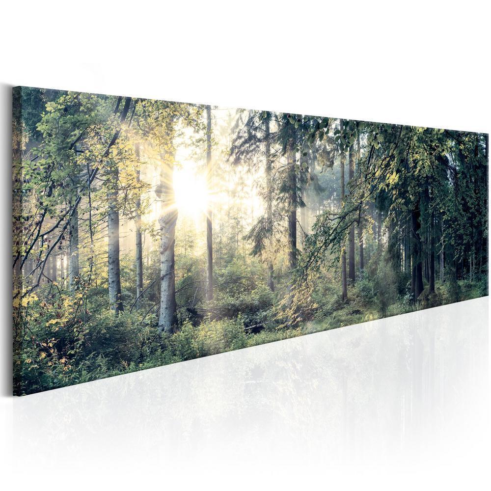 Canvas Print - Morning Magic-ArtfulPrivacy-Wall Art Collection