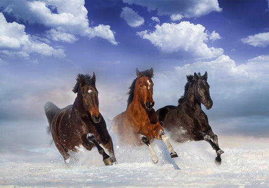 Wall Mural - Horses in the Snow-Wall Murals-ArtfulPrivacy