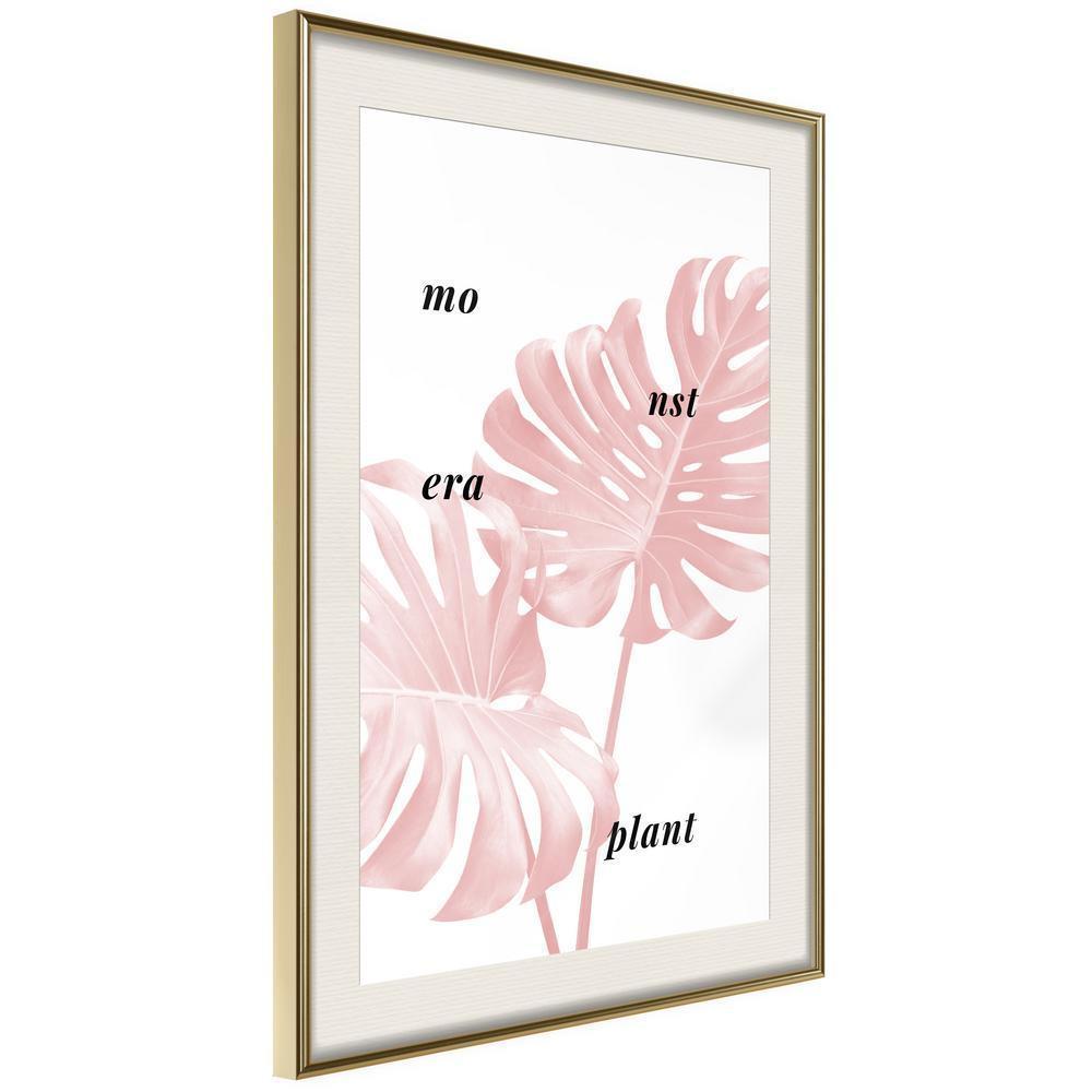 Botanical Wall Art - Pale Pink Monstera-artwork for wall with acrylic glass protection