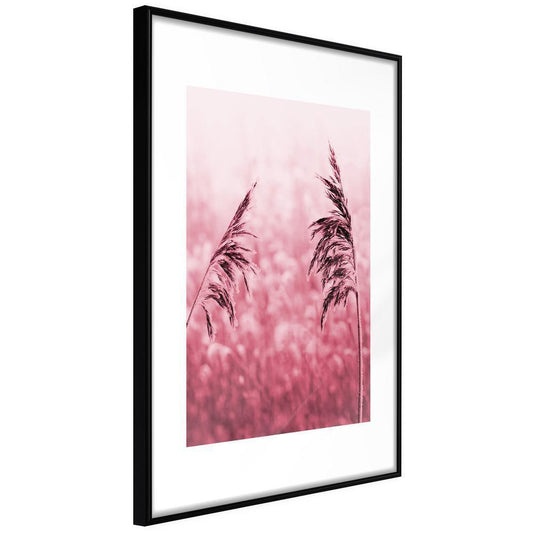 Framed Art - Amaranth Meadow-artwork for wall with acrylic glass protection