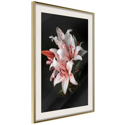 Botanical Wall Art - Pale Pink Lilies-artwork for wall with acrylic glass protection