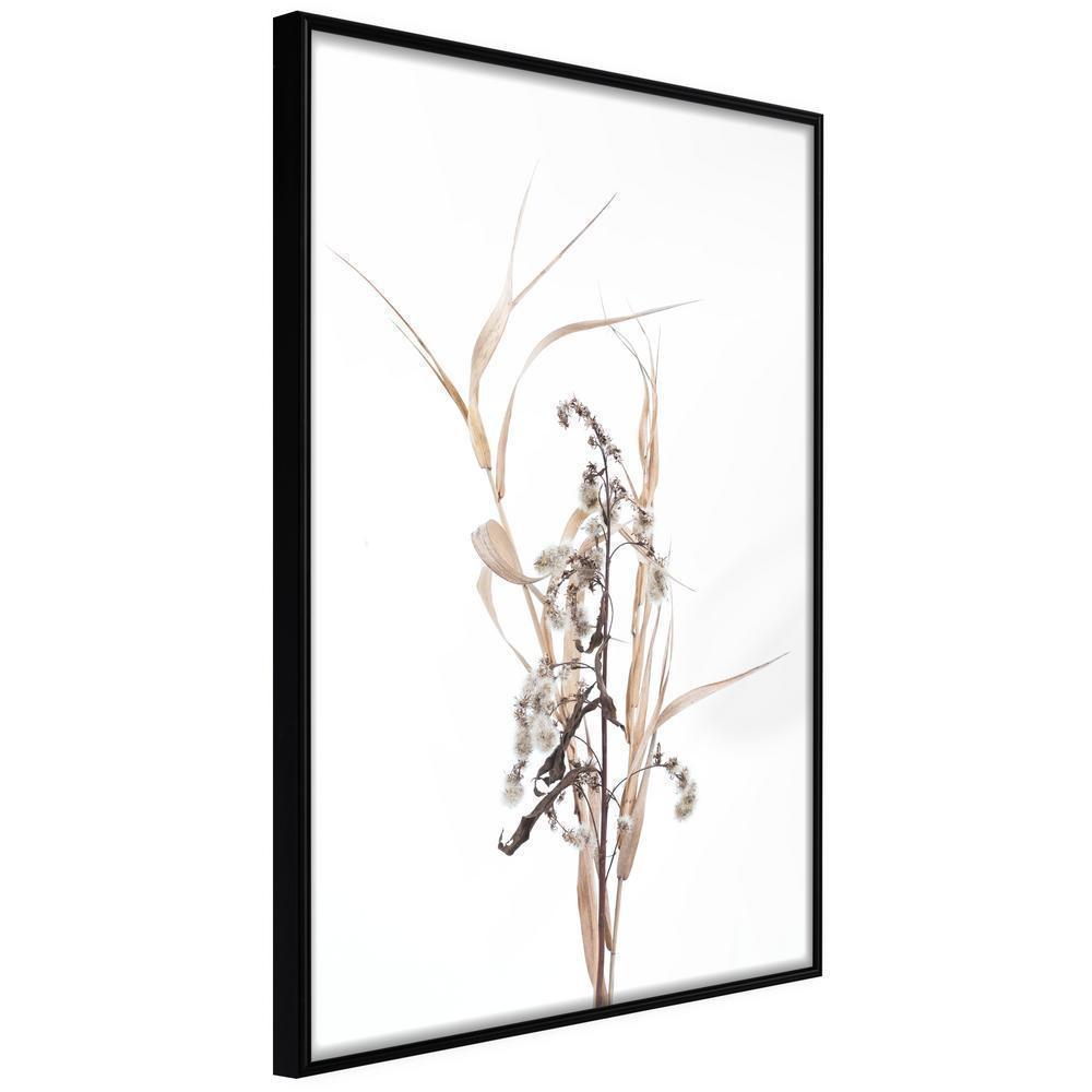 Autumn Framed Poster - Found on the Field-artwork for wall with acrylic glass protection