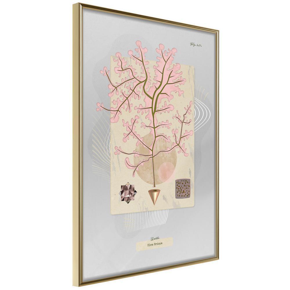 Abstract Poster Frame - Seaweed-artwork for wall with acrylic glass protection