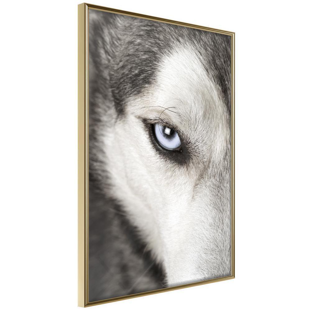 Frame Wall Art - Azure Eye-artwork for wall with acrylic glass protection