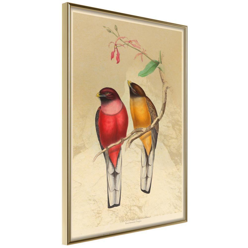 Frame Wall Art - Ornithologist's Drawings-artwork for wall with acrylic glass protection