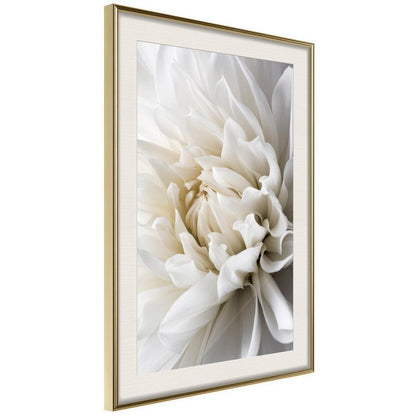 Botanical Wall Art - Peace of Mind-artwork for wall with acrylic glass protection