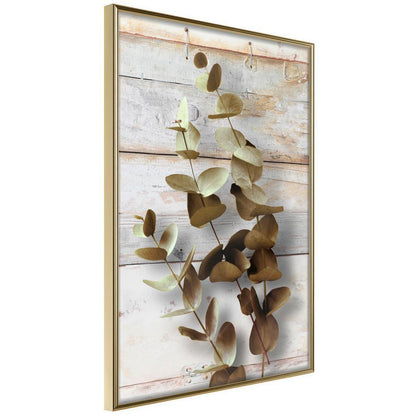 Botanical Wall Art - Decorative Twigs-artwork for wall with acrylic glass protection