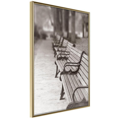 Autumn Framed Poster - Park Alley-artwork for wall with acrylic glass protection