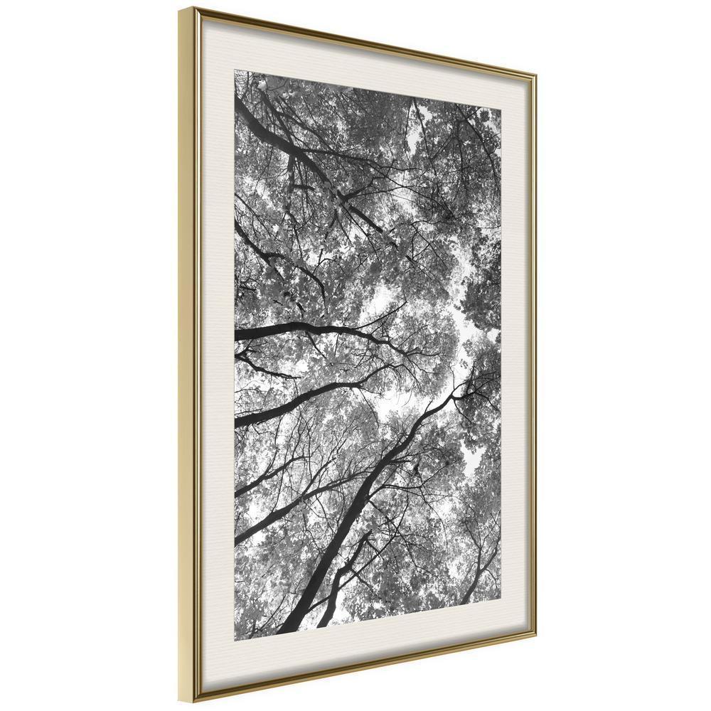 Botanical Wall Art - Lying on the Grass-artwork for wall with acrylic glass protection