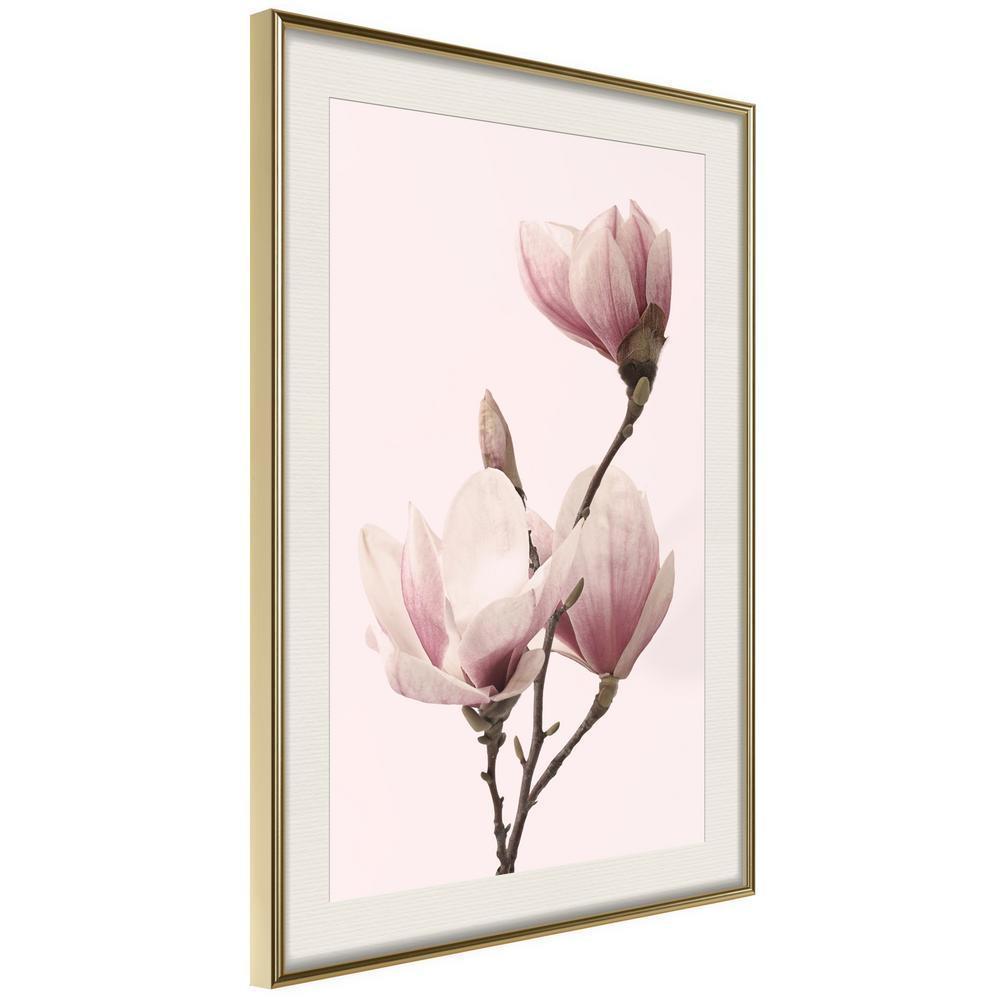 Botanical Wall Art - Blooming Magnolias III-artwork for wall with acrylic glass protection