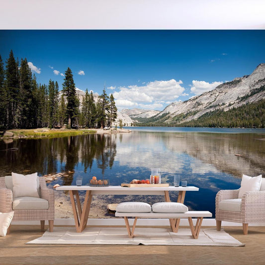 Wall Mural - Tenaya Lake-Wall Murals-ArtfulPrivacy