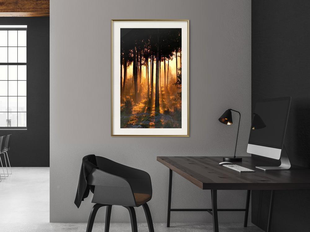 Autumn Framed Poster - Dark Tree Tops-artwork for wall with acrylic glass protection