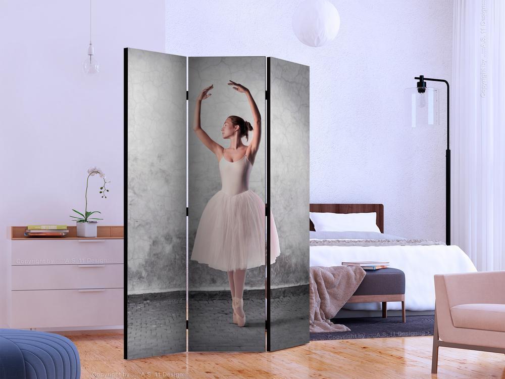 Decorative partition-Room Divider - Ballerina in Degas paintings style-Folding Screen Wall Panel by ArtfulPrivacy