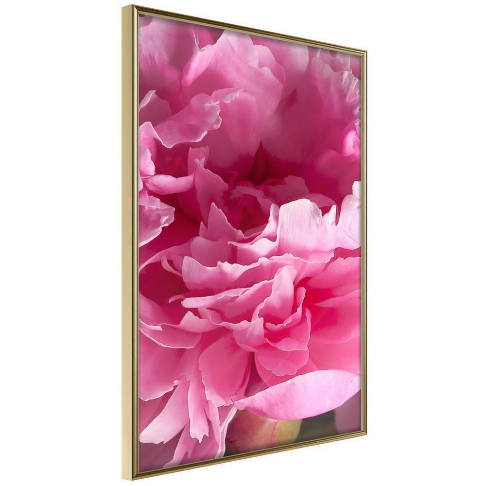 Botanical Wall Art - Magenta Madness-artwork for wall with acrylic glass protection