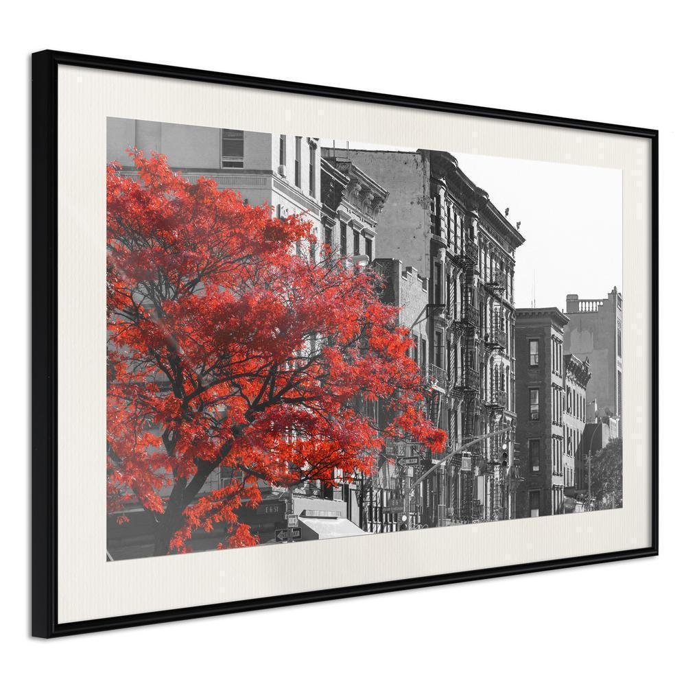 Autumn Framed Poster - Autumn Colours II-artwork for wall with acrylic glass protection