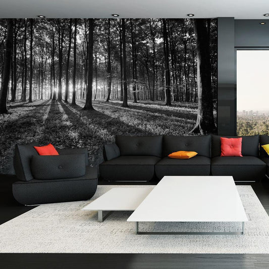 Wall Mural - The Light in the Forest-Wall Murals-ArtfulPrivacy