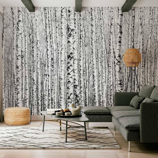 Wall Mural - Birch forest