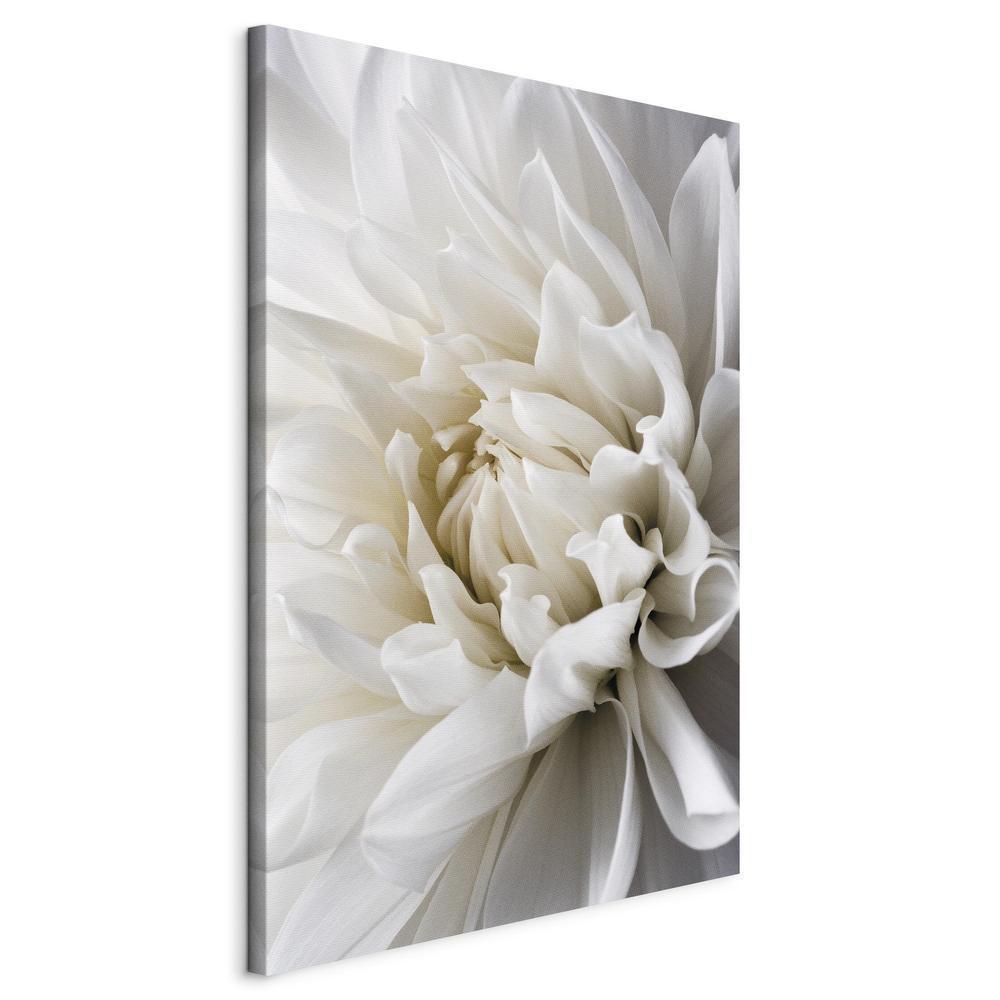 Canvas Print - White Dahlia