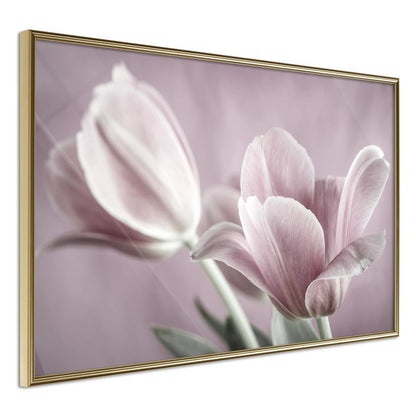 Botanical Wall Art - Pastel Tulips I-artwork for wall with acrylic glass protection