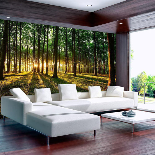 Wall Mural - Spring: Morning in the Forest-Wall Murals-ArtfulPrivacy