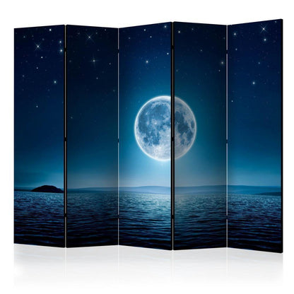 Room Divider - Moonlit night II- A 5 Panel Folding Screen For Living rooms, bedrooms or home office, decorative folding screen made with wood and canvas