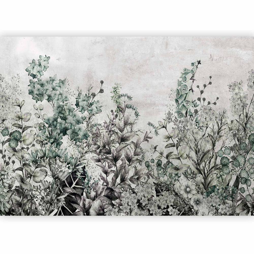 Wall Mural - Mystery of Herbs