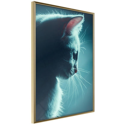 Winter Design Framed Artwork - Adorable Furball-artwork for wall with acrylic glass protection